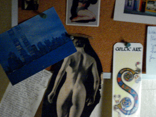 DSC00322.JPG