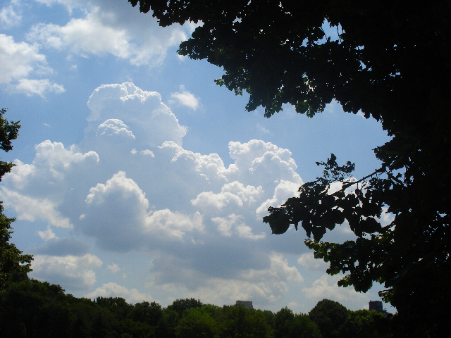 DSC02143.JPG
