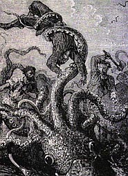giantsquid2.jpg