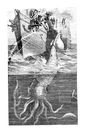 giantsquid4.jpg