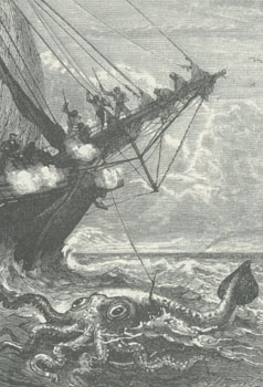 giantsquid6.jpg