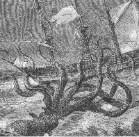 giantsquid8.jpg