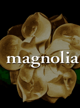 magnolia.gif