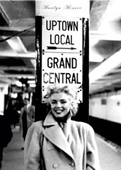 monroe5.jpg