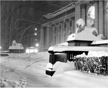 nypl2.bmp