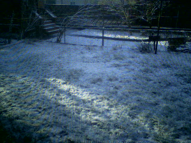 snowyday!.jpg